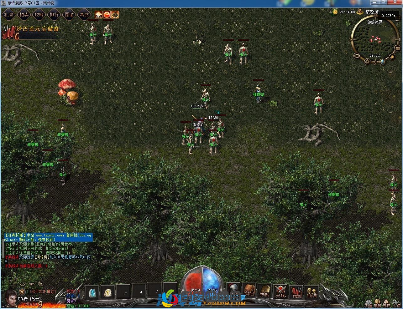 image.webp