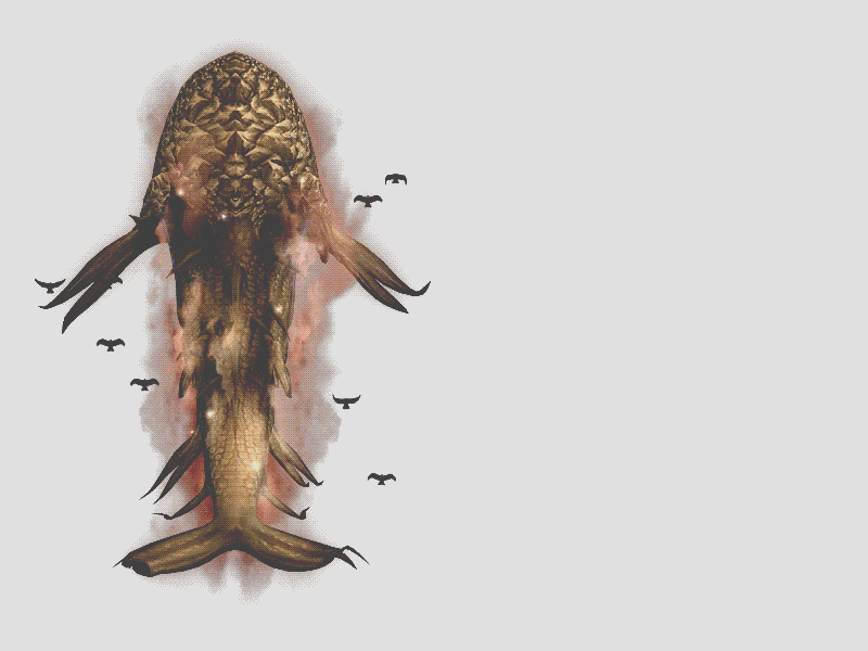 034051xuuazyvan6egv22y.gif