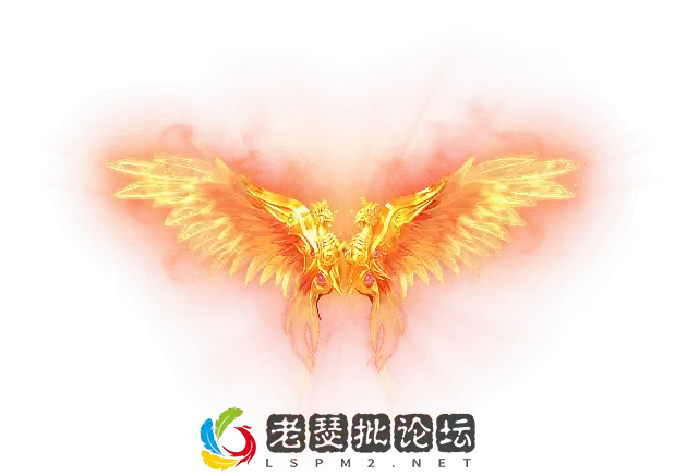 00243.webp
