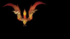 00041.webp