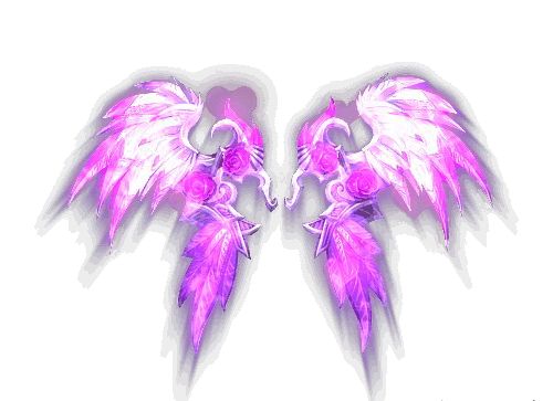 032511j8j8eaa66jprrjip.webp