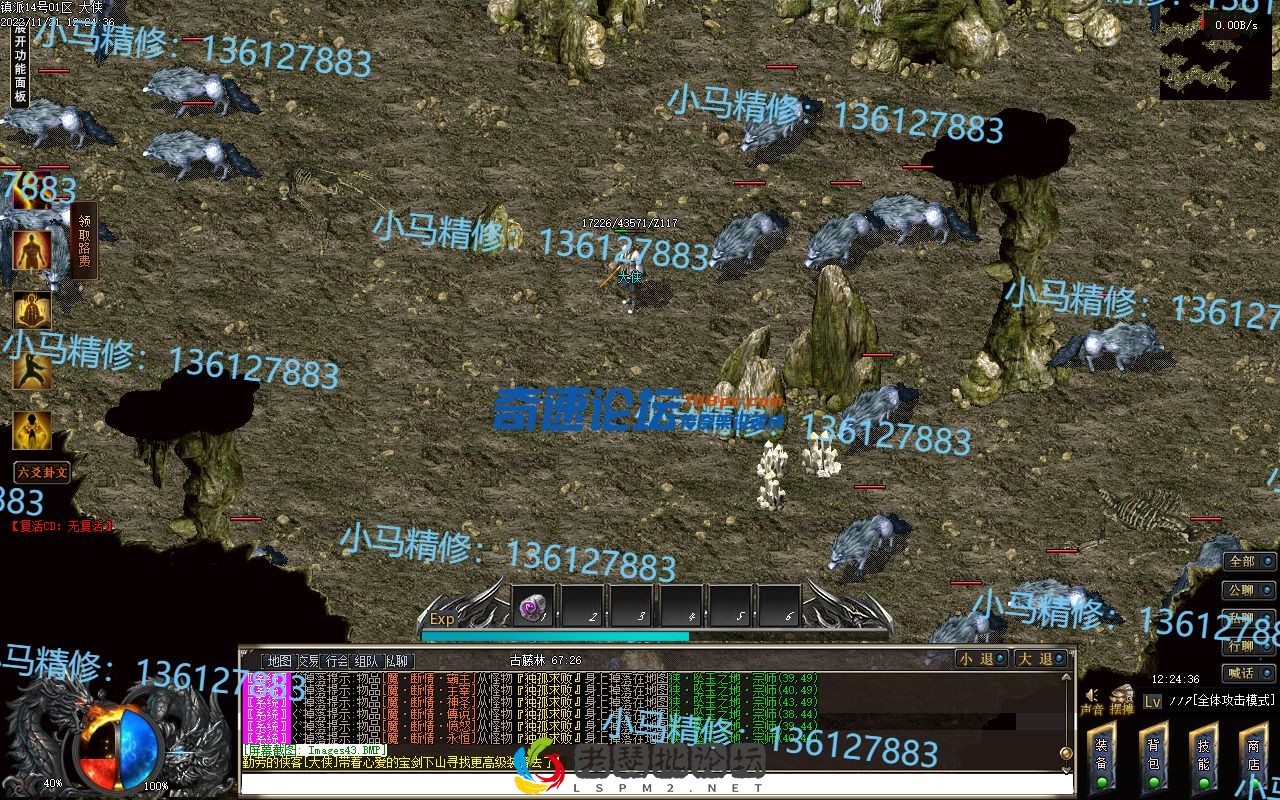 47.webp
