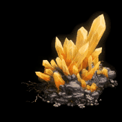 144352lx9cc9cyd1qbe91z.gif