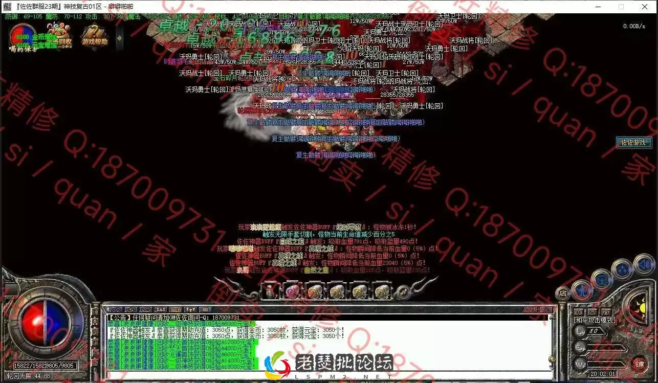 13.webp