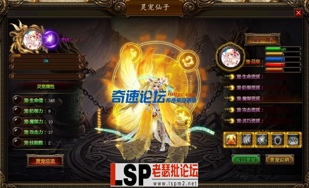 image.webp