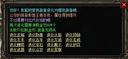 5.webp