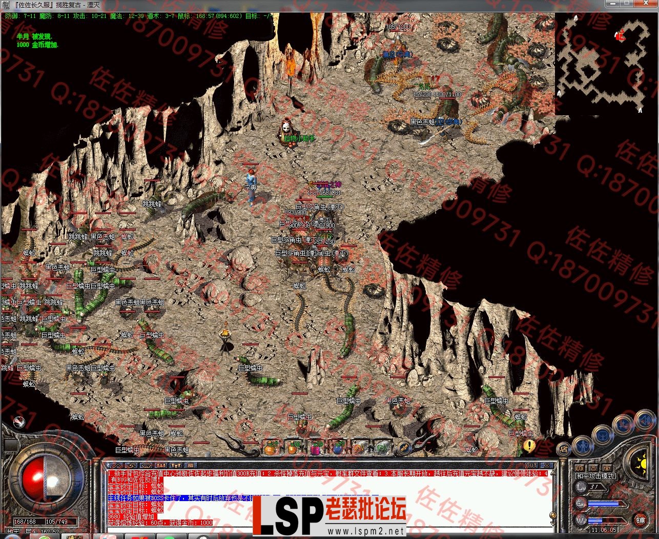 8.webp