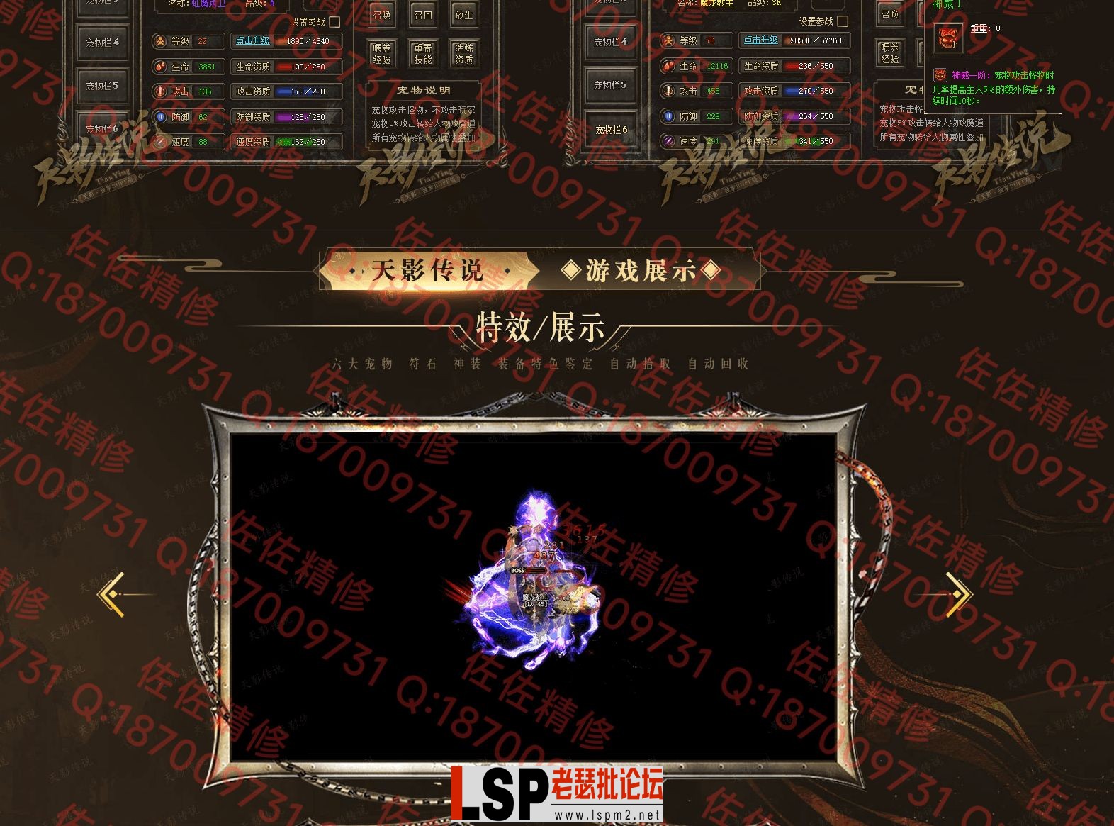 网站3.webp