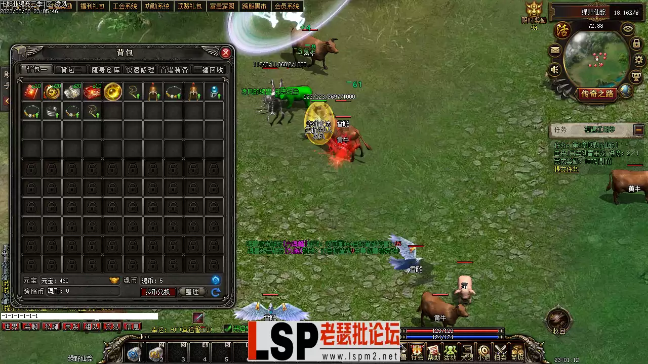 Images17.webp