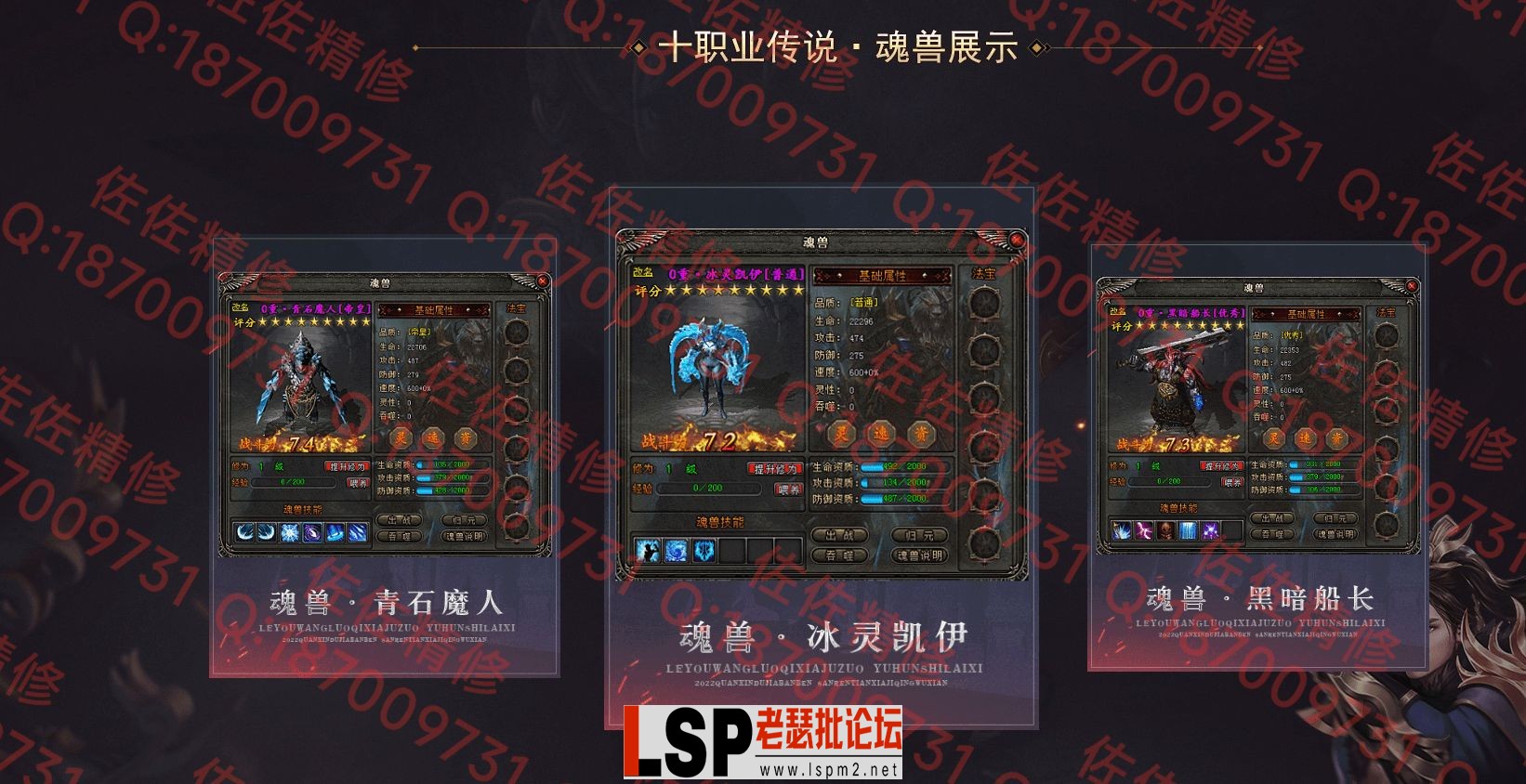 网站4.webp