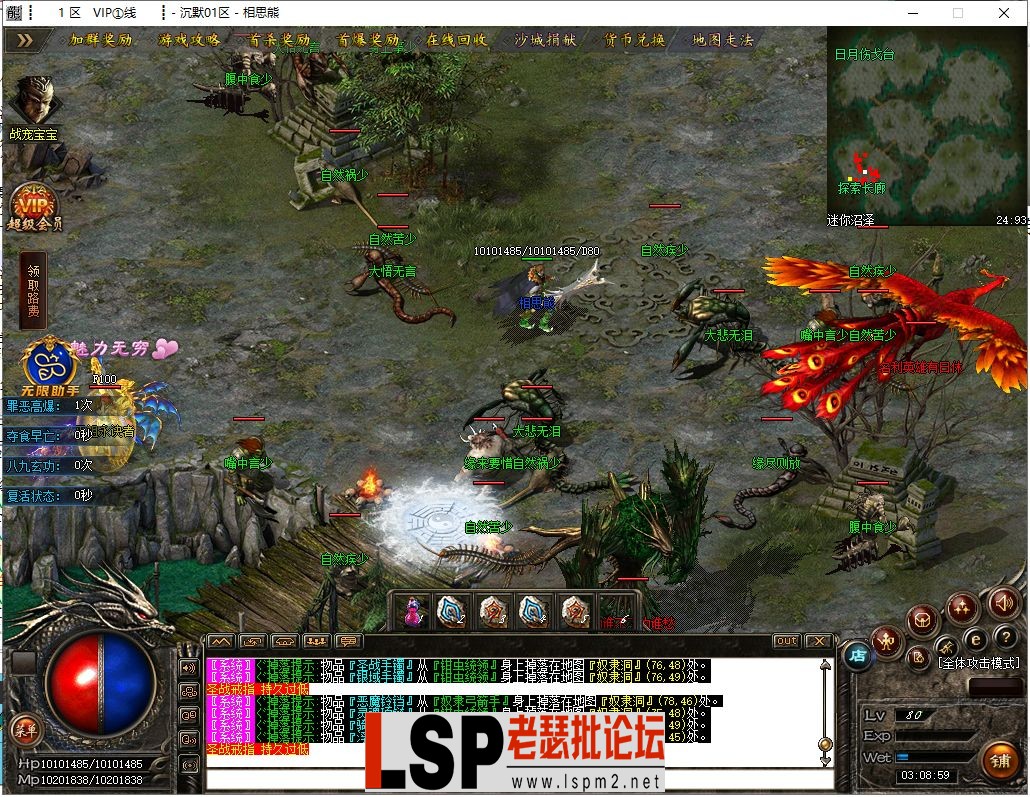 9.webp