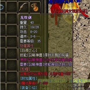 5.webp