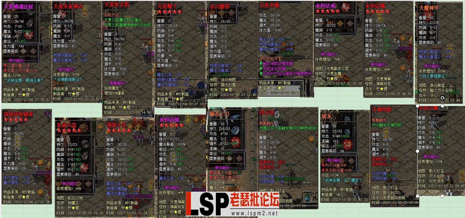 13.webp