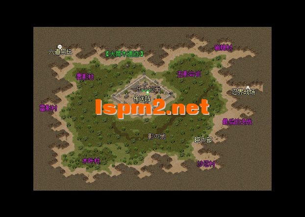 5.webp
