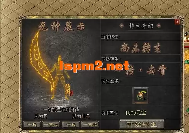 17.webp