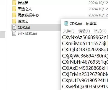 QQ20241012-181651.webp