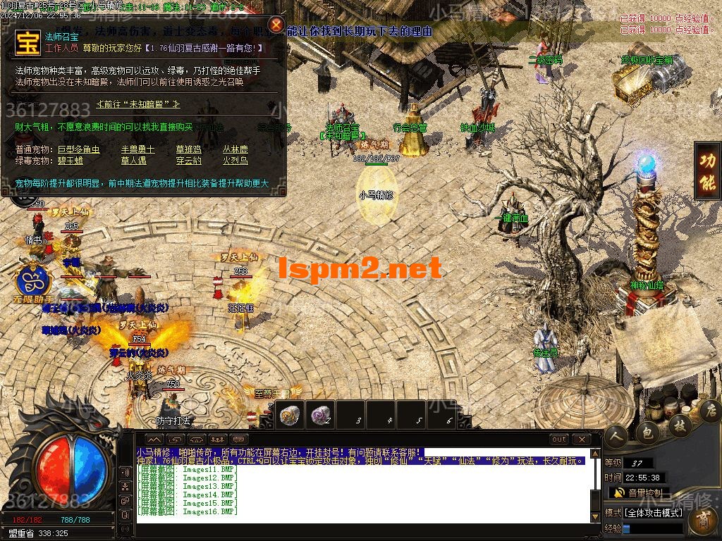 Images19.webp