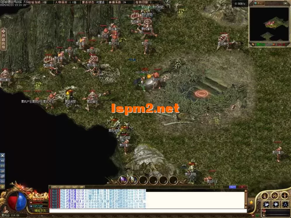 Images55.BMP.webp