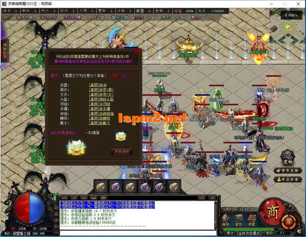35.webp